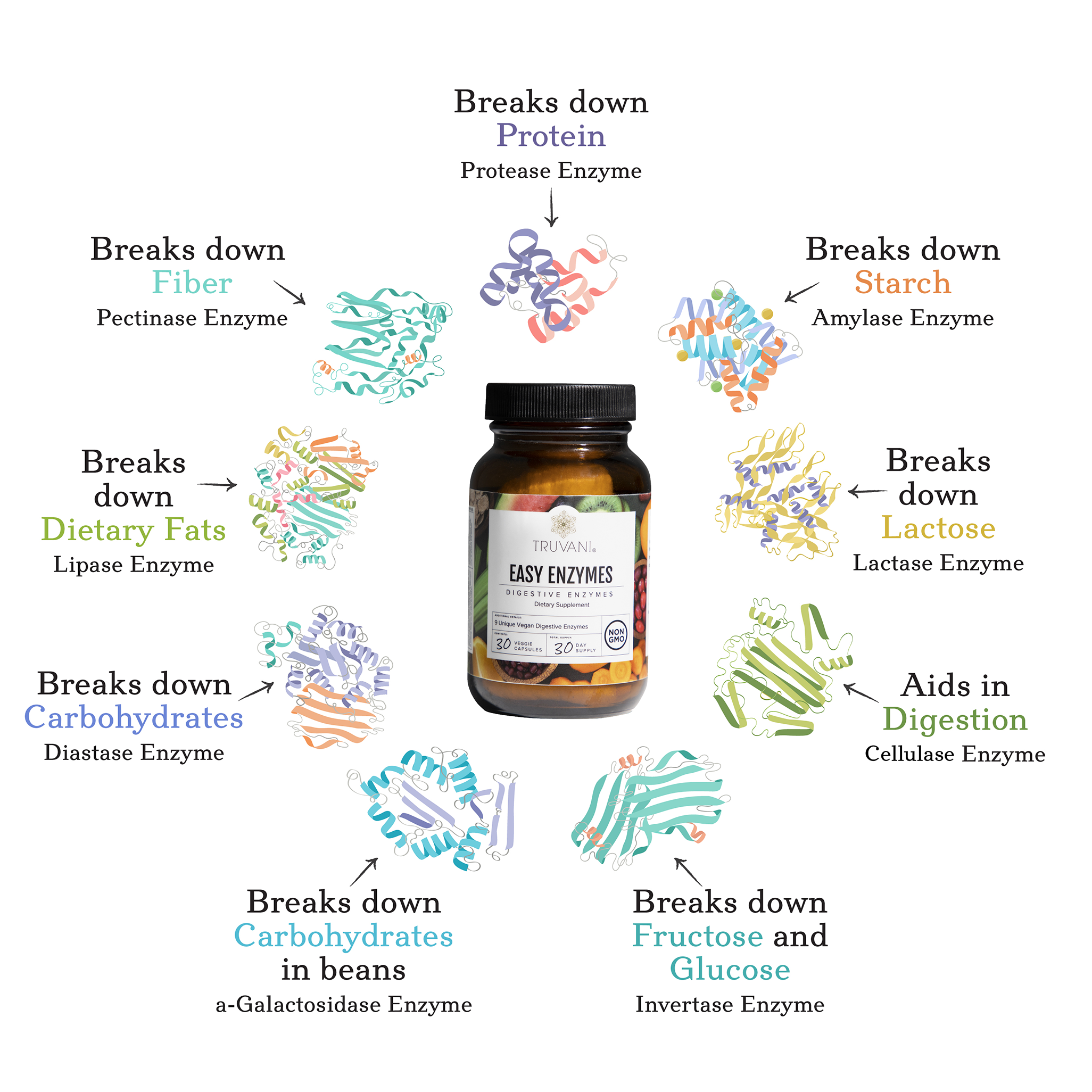 enzymes